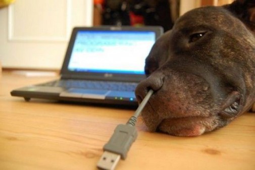 USB Pes